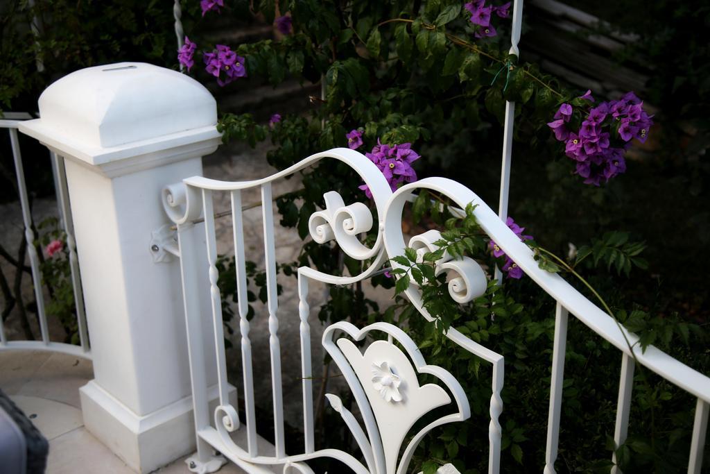 Villa Angelina เซลวา ดิ ฟาซาโน ภายนอก รูปภาพ